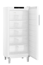Armoire congélateur FFFSG 5501 blanc
