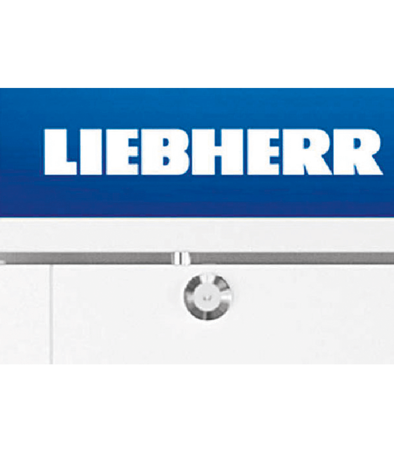 Displaykoeler Liebherr FKDV4211 wit