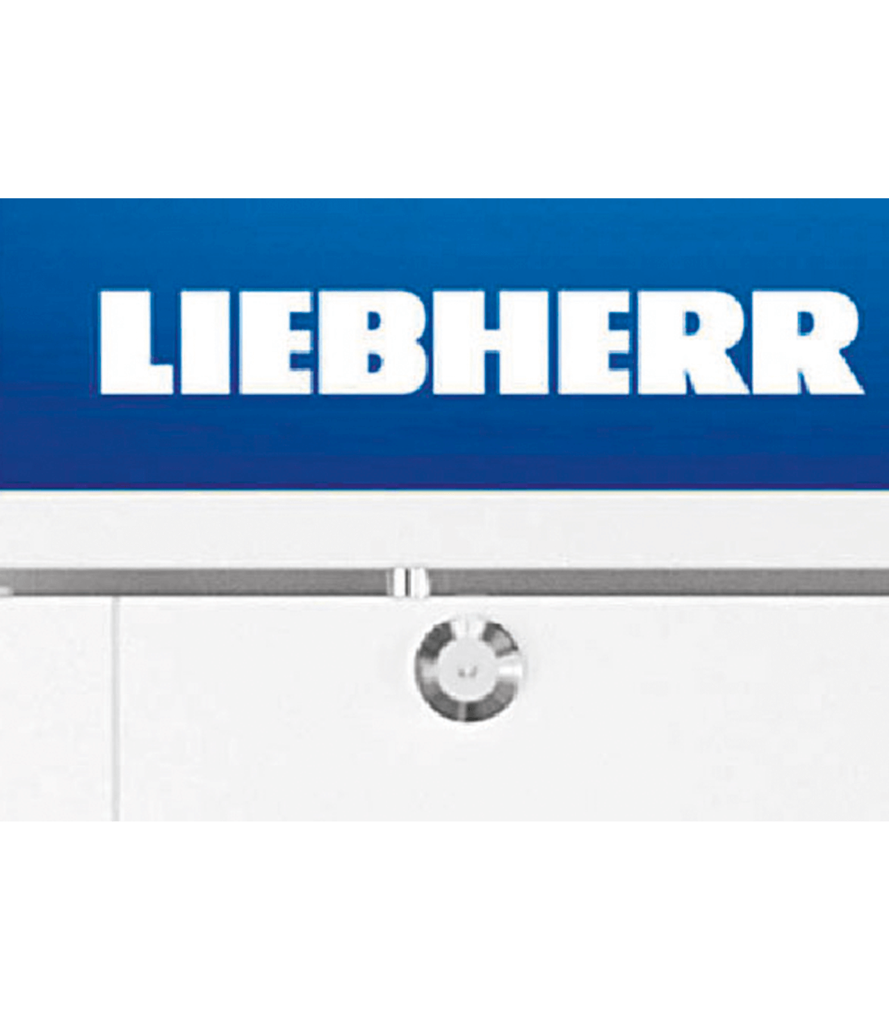 Armoire réfrigérée display Liebherr FKDV4213 blanc