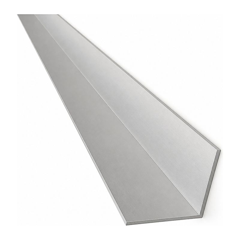 Angle de finition extérieur 100 x 100 inox 1 mm (3m) (EX1010INOX)