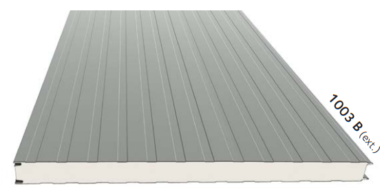 Sandwichpanelen 060 dikte, 3000 mm lengte, gelinieerd RAL 9010/9010