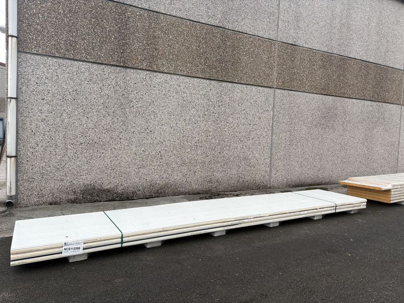 Sandwichpanelen 60 mm 3 lengtes 6000 mm (NCS112599)