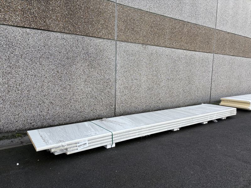 Sandwichpanelen 60 mm 4 lengtes 6000 mm (NCS112680)