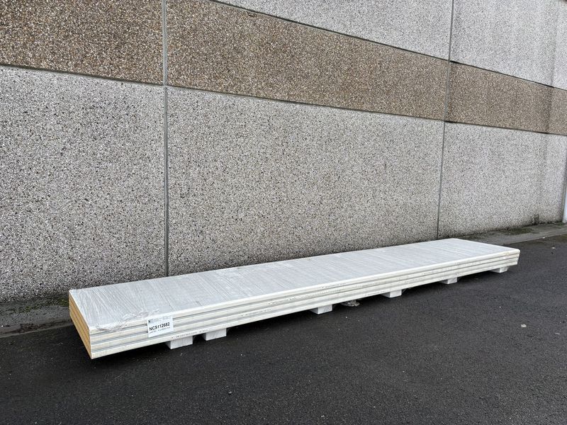 Sandwichpanelen 60 mm 4 lengtes 6000 mm (NCS112682)
