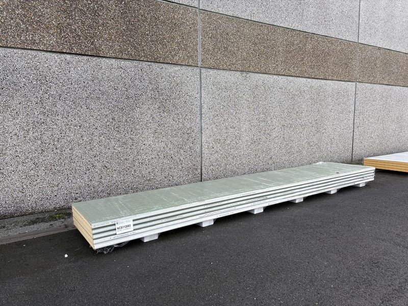 Sandwichpanelen 60 mm 5 lengtes 6000 mm (NCS112683)