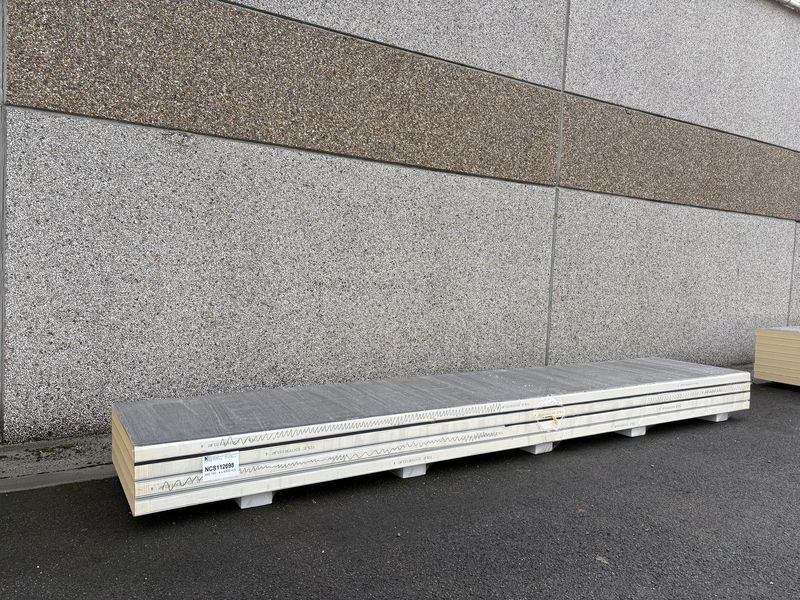Sandwichpanelen 100 mm 4 lengtes 6000 mm (NCS112698)