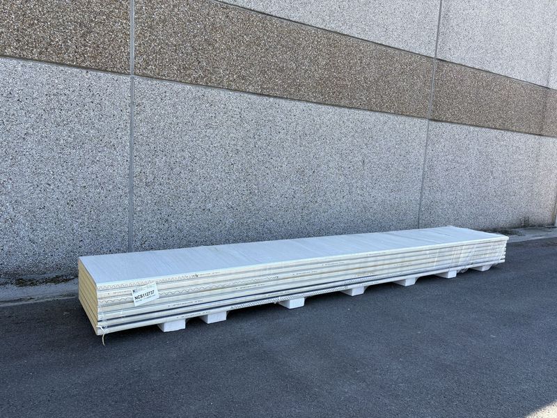 Sandwichpanelen 60 mm 7 lengtes 6000 mm (NCS112737)