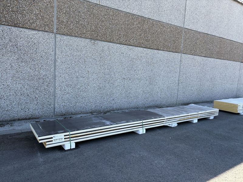 Sandwichpanelen 60 mm 4 lengtes 6000 mm (NCS112739)