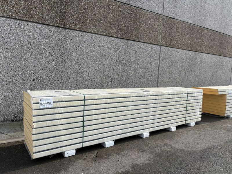 Sandwichpanelen 100 mm 10 lengtes 5000 mm (NCS112763)