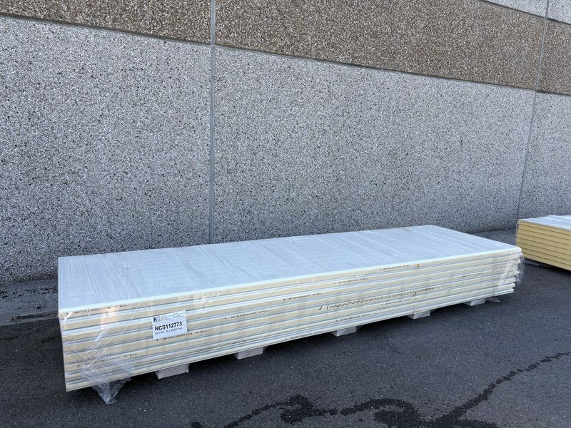 Sandwichpanelen 60 mm 8 lengtes 4000 mm (NCS112773)