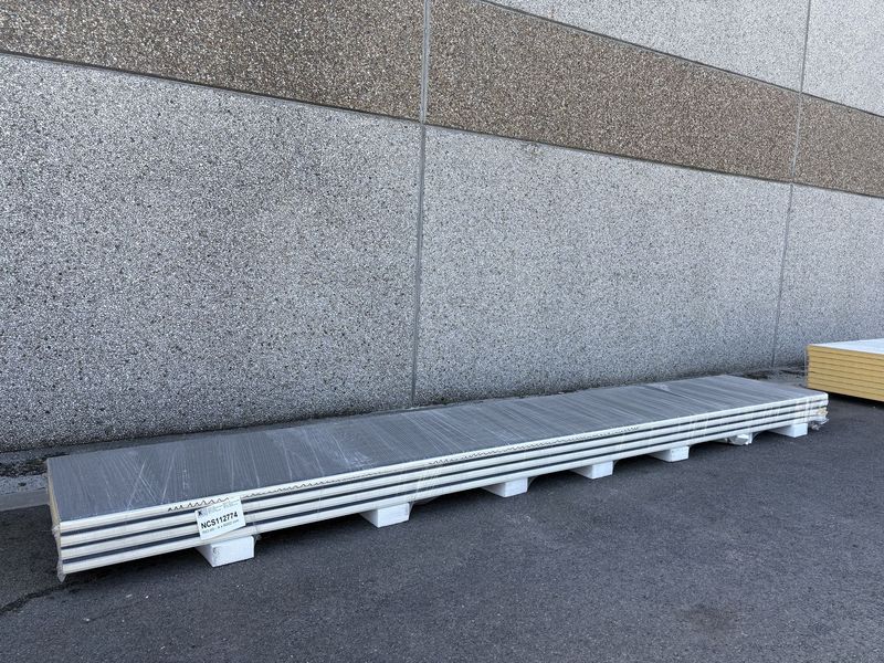 Sandwichpanelen 60 mm 4 lengtes 6000 mm (NCS112774)