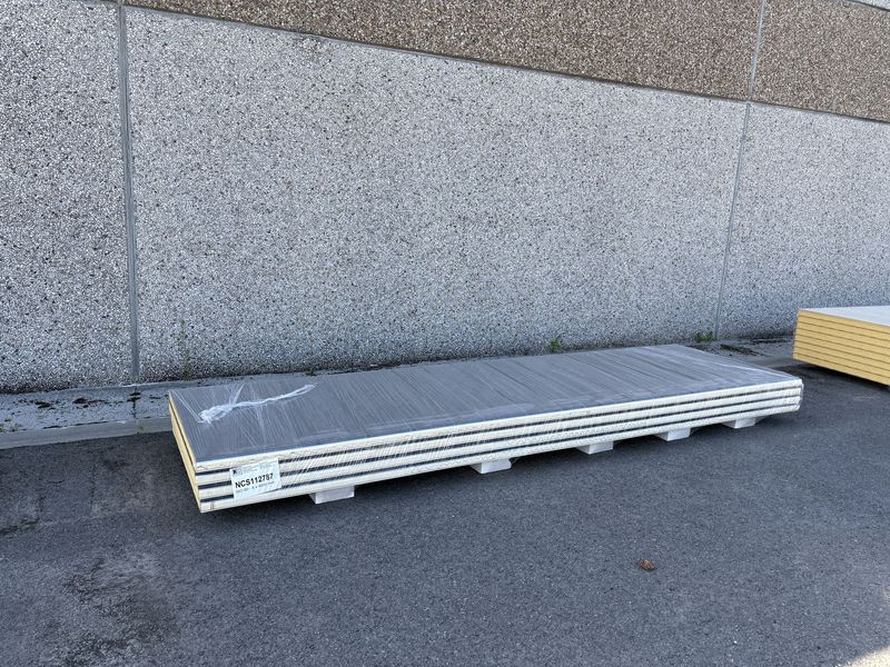 Sandwichpanelen 60 mm 4 lengtes 4000 mm (NCS112787)