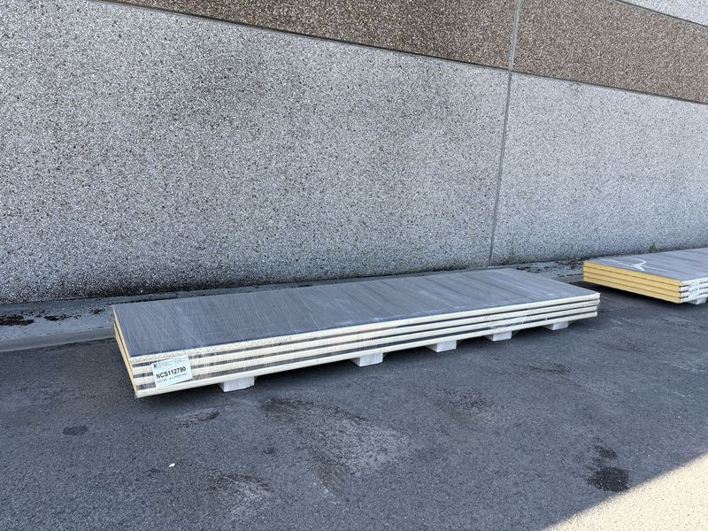 Sandwichpanelen 60 mm 4 lengtes 4000 mm (NCS112790)