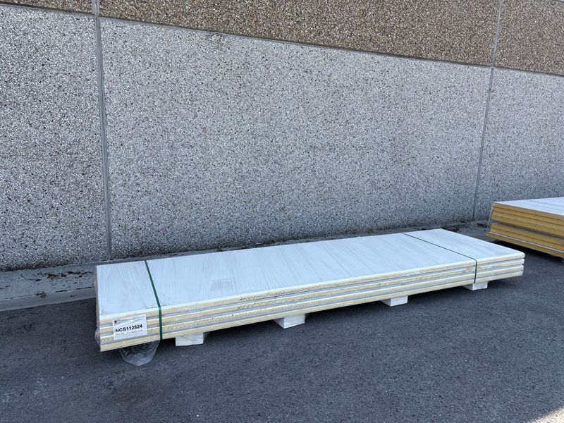 Sandwichpanelen 60 mm 4 lengtes 4000 mm (NCS112824)