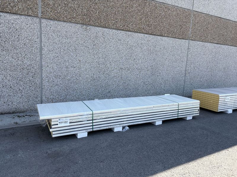 Sandwichpanelen 60 mm 7 lengtes 4000 mm (NCS112827)