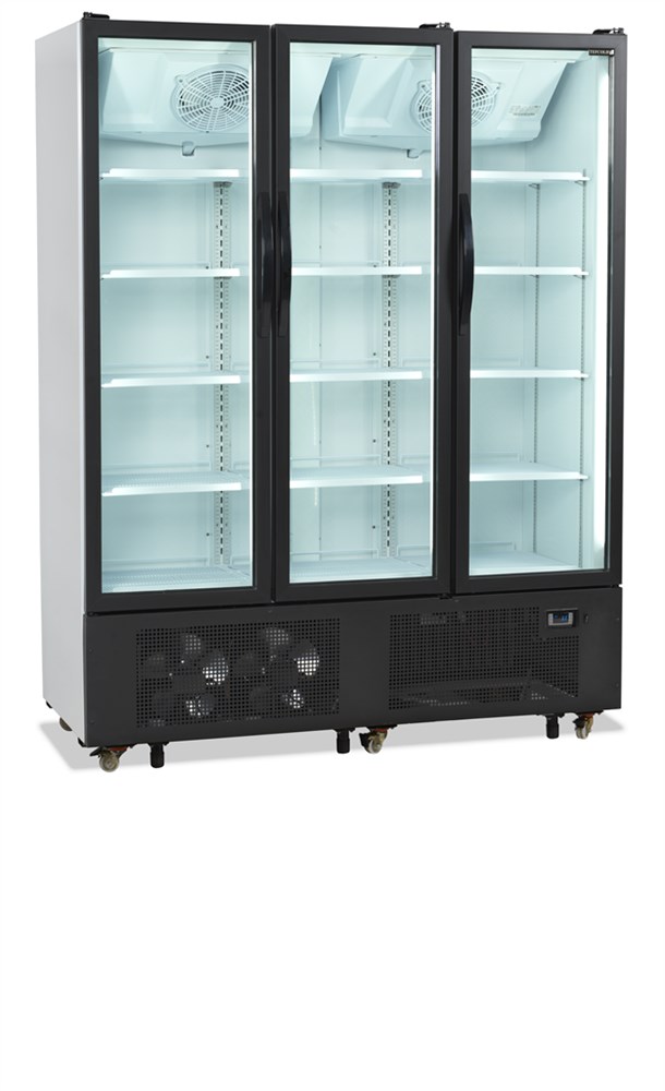 Réfrigérateur vitré FS1600H