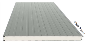 Sandwichpanelen eerste keus gelinieerd RAL9010